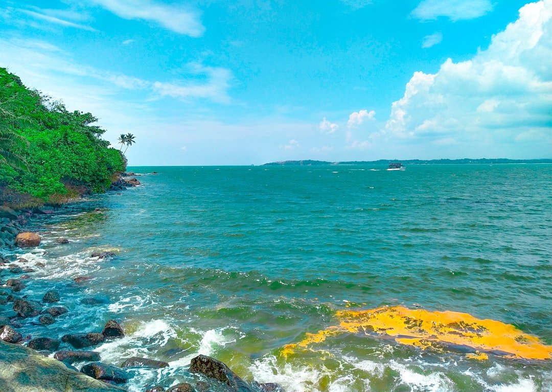 Mastering the First Impression: Your intriguing post title goes here a-rocky-beach-with-a-body-of-water-and-trees-azndt8ihsck